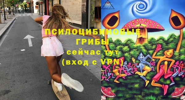 Альфа ПВП Вяземский