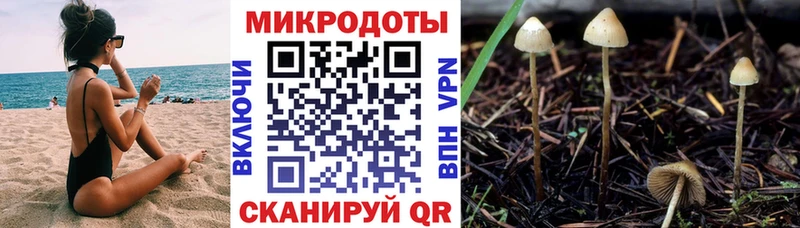 hydra ССЫЛКА  Плавск  Псилоцибиновые грибы GOLDEN TEACHER  купить закладку 